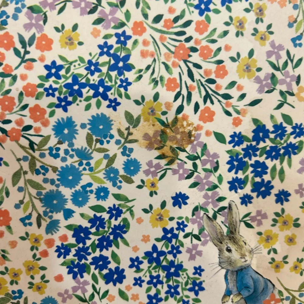 Pottery Barn x Beatrix potter cork placemat one stain GUC